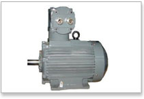 Flame Proof Kirloskar Motor